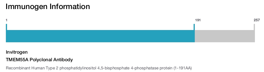TMEM55A Polyclonal Antibody