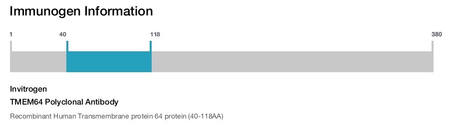 TMEM64 Polyclonal Antibody