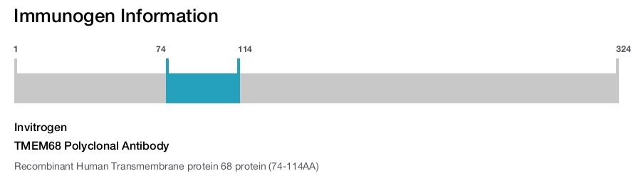 TMEM68 Polyclonal Antibody
