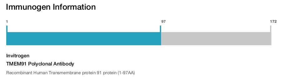 TMEM91 Polyclonal Antibody