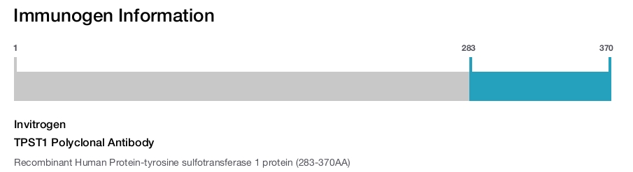 TPST1 Polyclonal Antibody