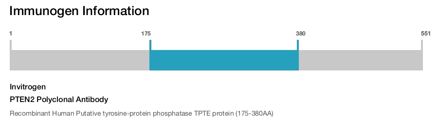 PTEN2 Polyclonal Antibody