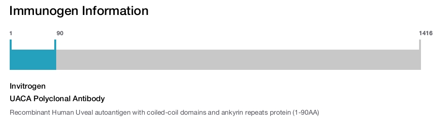 UACA Polyclonal Antibody