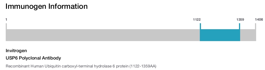 USP6 Polyclonal Antibody