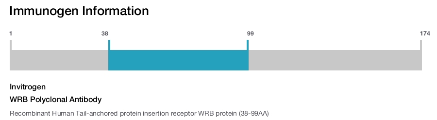 WRB Polyclonal Antibody