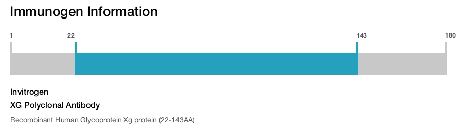 XG Polyclonal Antibody