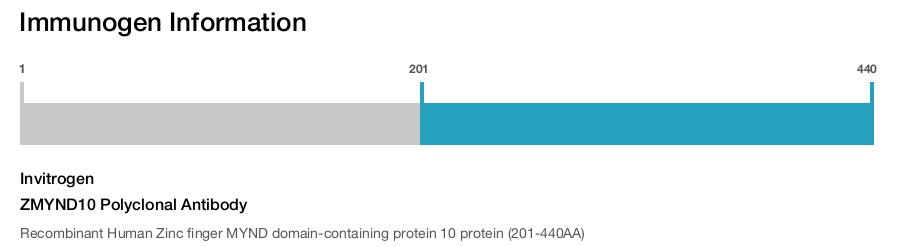 ZMYND10 Polyclonal Antibody