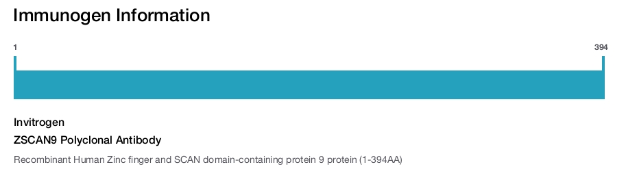 ZSCAN9 Polyclonal Antibody