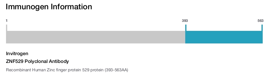 ZNF529 Polyclonal Antibody