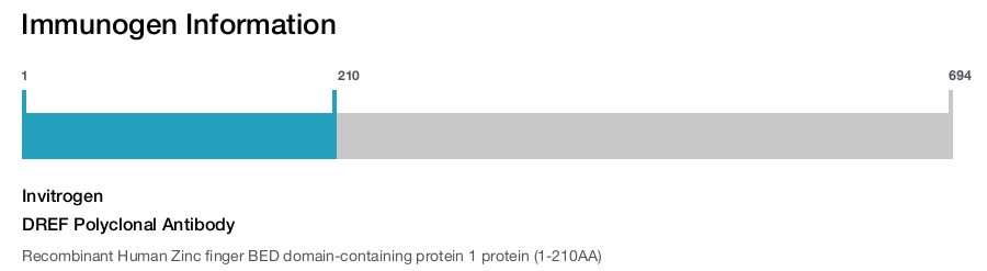 DREF Polyclonal Antibody