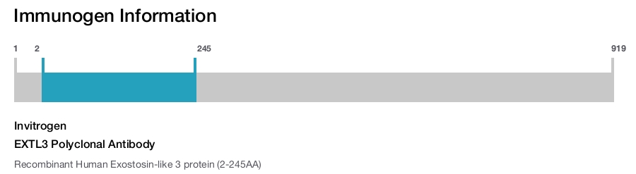 EXTL3 Polyclonal Antibody