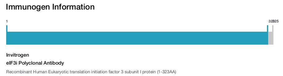 eIF3i Polyclonal Antibody