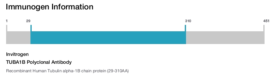 TUBA1B Polyclonal Antibody