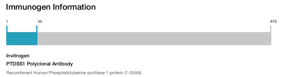 PTDSS1 Polyclonal Antibody