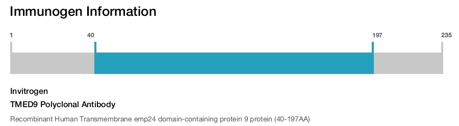 TMED9 Polyclonal Antibody