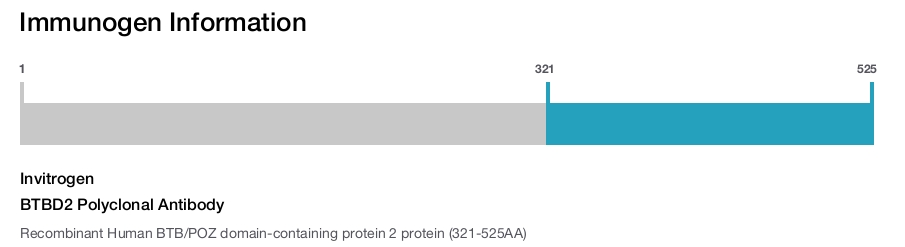 BTBD2 Polyclonal Antibody