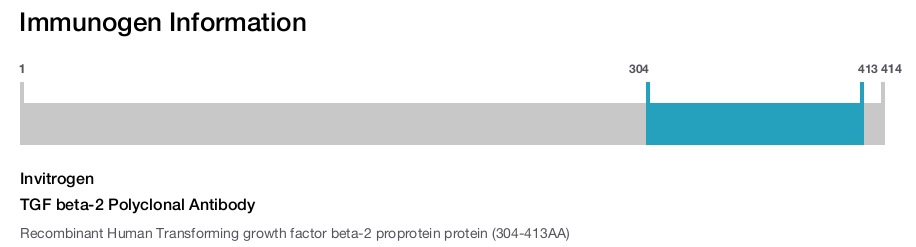 TGF beta-2 Polyclonal Antibody