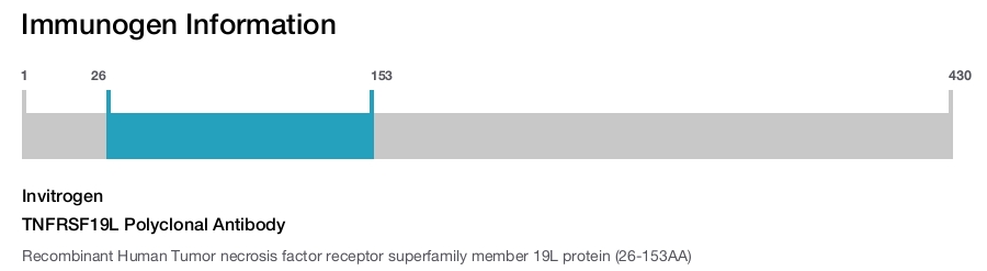 TNFRSF19L Polyclonal Antibody