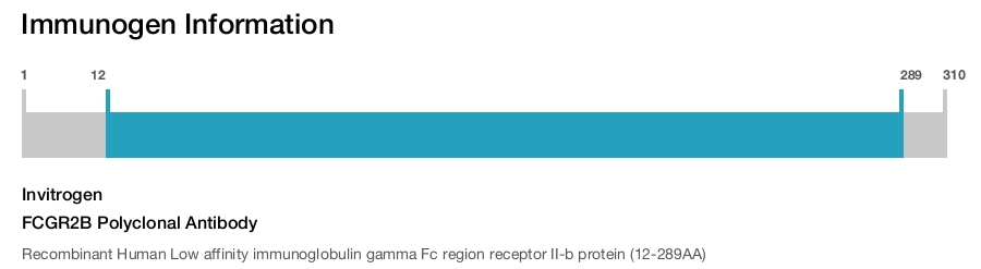 FCGR2B Polyclonal Antibody