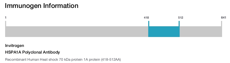 HSPA1A Polyclonal Antibody