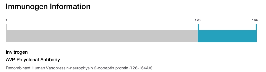 AVP Polyclonal Antibody
