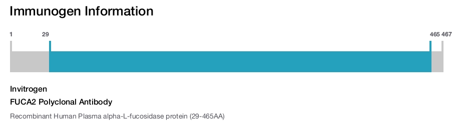 FUCA2 Polyclonal Antibody