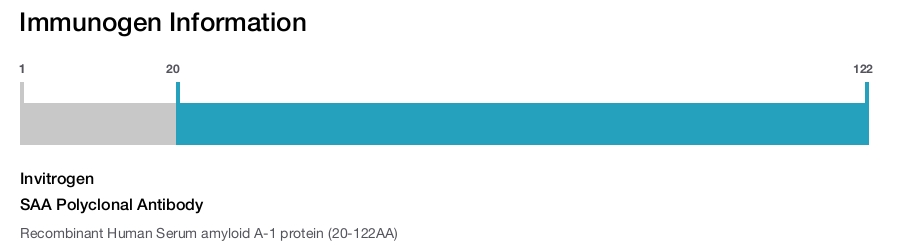 SAA Polyclonal Antibody