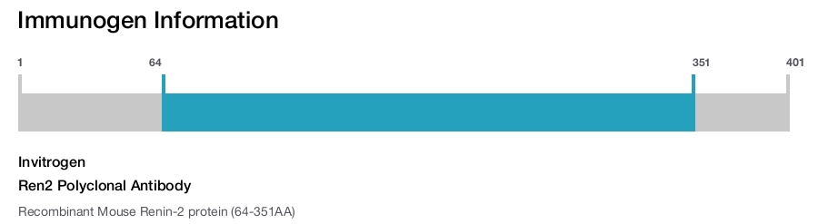 Ren2 Polyclonal Antibody
