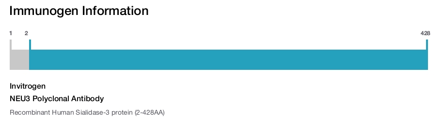 NEU3 Polyclonal Antibody
