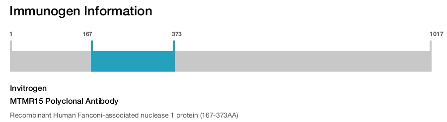 MTMR15 Polyclonal Antibody