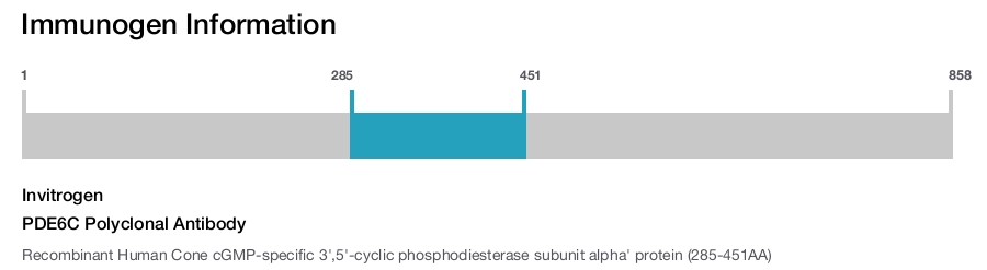 PDE6C Polyclonal Antibody