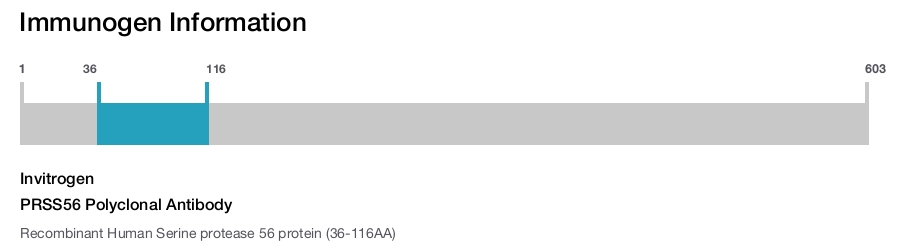 PRSS56 Polyclonal Antibody