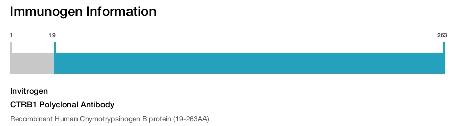 CTRB1 Polyclonal Antibody