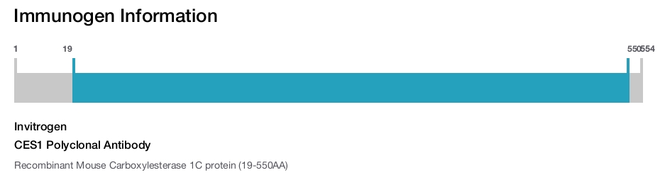 CES1 Polyclonal Antibody