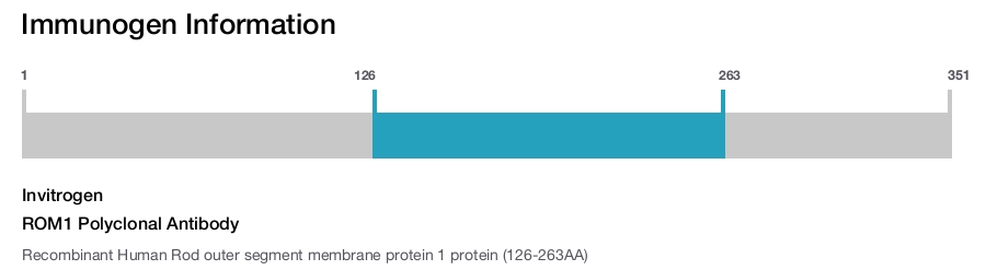ROM1 Polyclonal Antibody