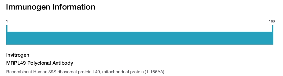 MRPL49 Polyclonal Antibody