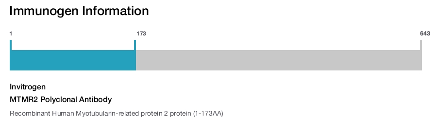 MTMR2 Polyclonal Antibody