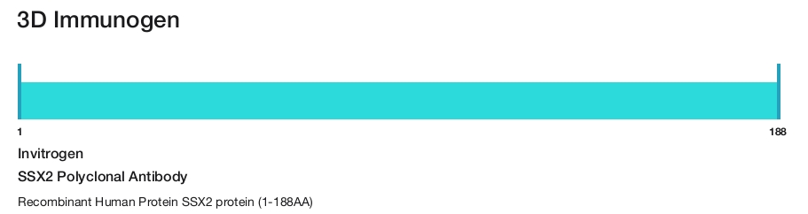 SSX2 Polyclonal Antibody