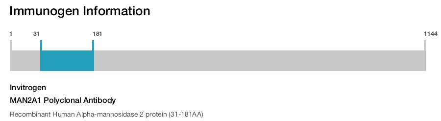 MAN2A1 Polyclonal Antibody