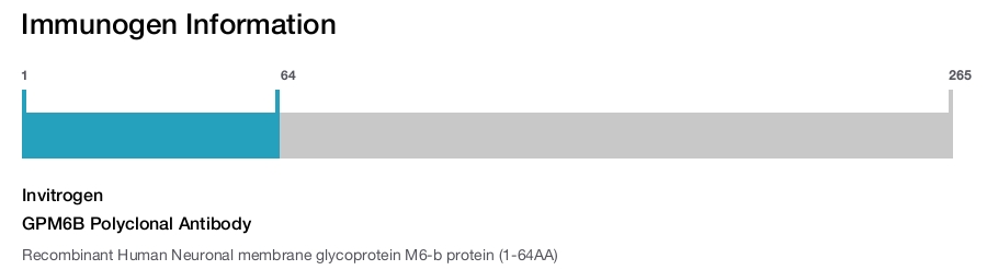 GPM6B Polyclonal Antibody