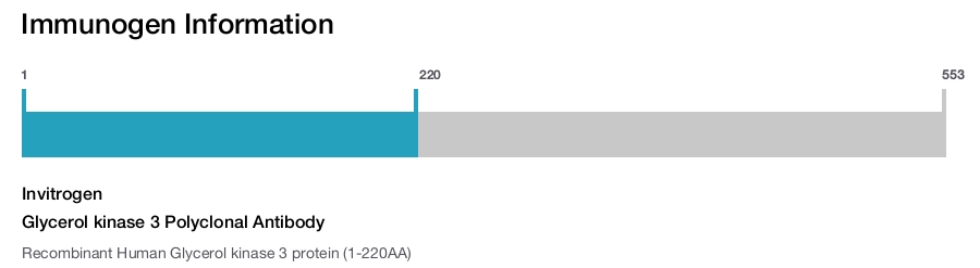 Glycerol kinase 3 Polyclonal Antibody