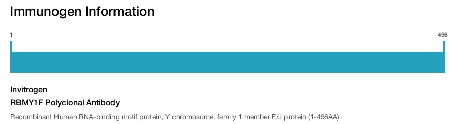 RBMY1F Polyclonal Antibody