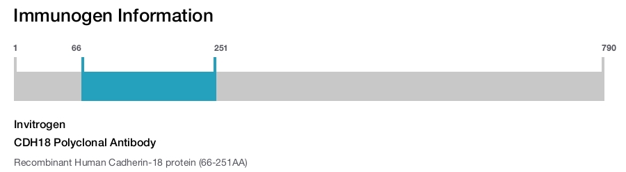 CDH18 Polyclonal Antibody