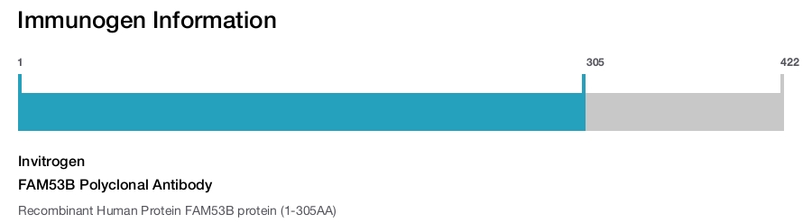 FAM53B Polyclonal Antibody