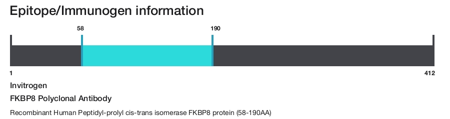 FKBP8 Polyclonal Antibody