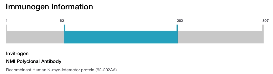 NMI Polyclonal Antibody