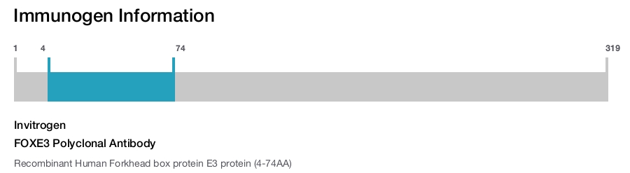 FOXE3 Polyclonal Antibody