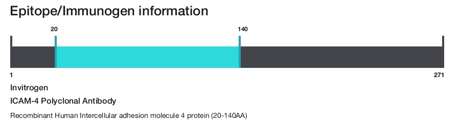 ICAM-4 Polyclonal Antibody