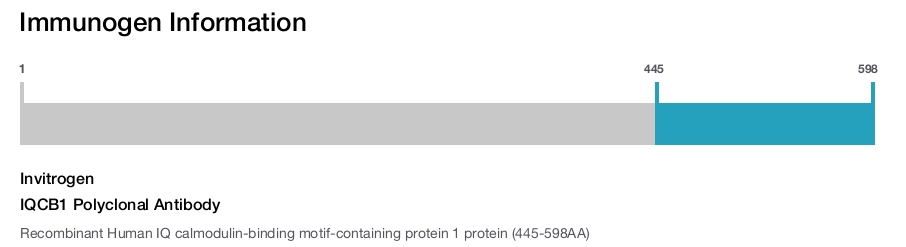 IQCB1 Polyclonal Antibody