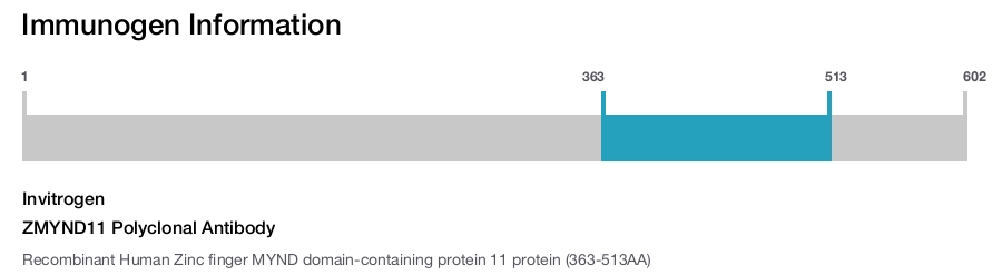 ZMYND11 Polyclonal Antibody
